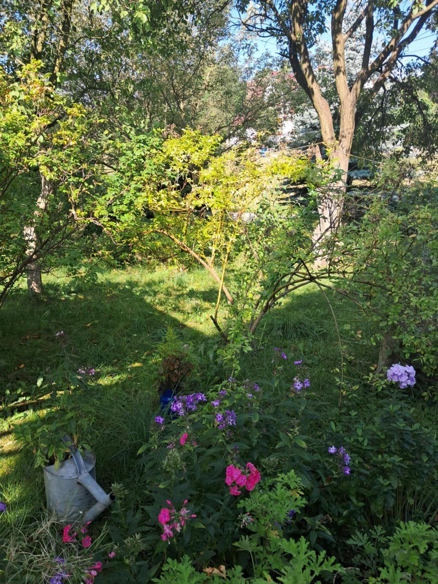 Przytulia Blekitny Daire Kopaniec Dış mekan fotoğraf